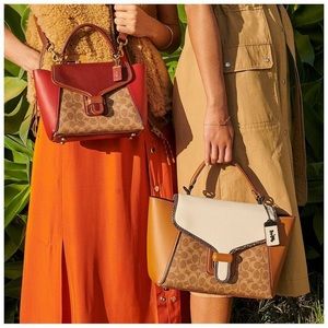 Coach Courier Carryall In Colorblock Signature Canvas With Snakeskin Detail